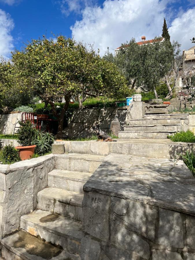 Apartments Cvjetkovic มลินี ภายนอก รูปภาพ